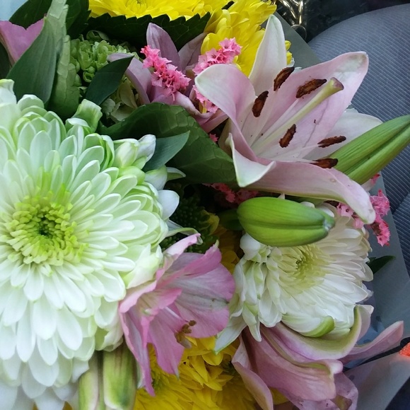 Meet your Posher, Colette Ingrid ๐๐น - Picture 2 of 3